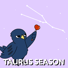 a taurus season poster with a bird holding a heart shaped object