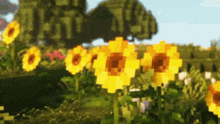 Beautiful Minecraft GIF - Beautiful Minecraft GIFs