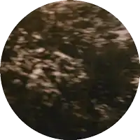 a close up of a person 's face behind a shield