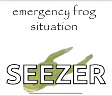 Matt Ross Emergancy Frog Situation GIF - Matt Ross Emergancy Frog Situation Frogs GIFs