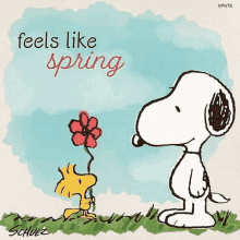 Spring Is Here GIF - Spring Is Here GIFs