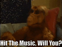 Alf Hit The Music Will You GIF