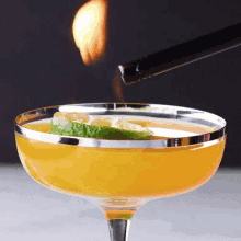 Leo Flaming Sunset Drinks GIF - Leo Flaming Sunset Drinks The Lion GIFs
