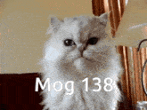 Mog Mogcat GIF - Mog Mogcat 138 GIFs