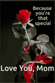 Special Mom GIF - Special Mom GIFs