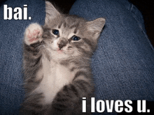 a gray and white kitten waving with the words bai i loves u. behind it