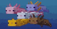 Minecraft Axolotl GIF - Minecraft Axolotl Swimming GIFs
