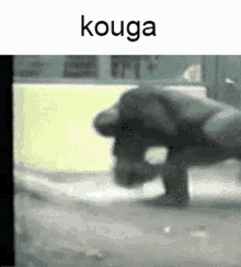 Kouga Spin GIF - Kouga Spin Monkey GIFs