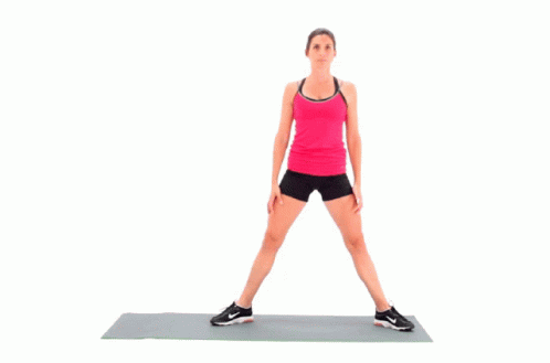 Sumo Squat Exercise GIF - Sumo Squat Exercise Workout GIFs