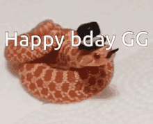 Hope Its Great GIF - Hope Its Great GIFs