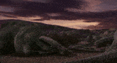 a group of dinosaurs laying in the dirt with a purple sky in the background