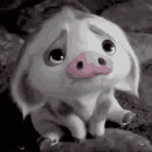 Sad Pig GIF