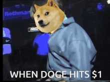 Doge Dogecoin GIF - Doge Dogecoin One Dollar GIFs