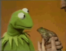 Kermit Shock GIF - Kermit Shock Scared GIFs