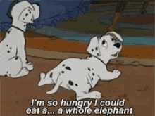 101dalmatians Hungry GIF - 101dalmatians Hungry Dogs GIFs