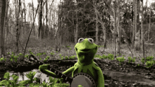 Kermit Band GIF - Kermit Band Music GIFs