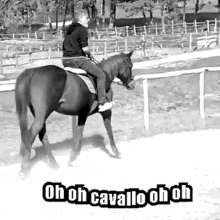 Cavallo GIF - Cavallo GIFs