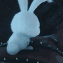 Snow Rabbit Cmon GIF - Snow Rabbit Cmon Gif GIFs