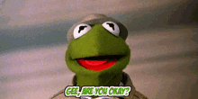 Kermit Gee Are You Okay GIF - Kermit Gee Are You Okay Are You Okay GIFs