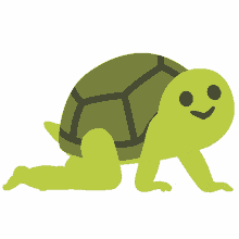 turtlecoin baby