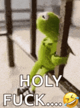 kermit the frog is sitting on a railing holding onto a railing and saying holy fuck .