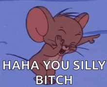 jerry from tom and jerry is laughing with the words " haha you silly bitch " below him