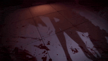 a bloody floor with a shadow of a person