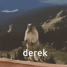 Derek GIF