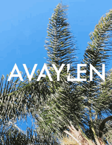 Avaylen Surf GIF - Avaylen Surf Skate GIFs