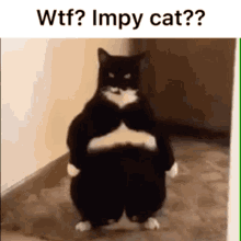 Imp Impy GIF