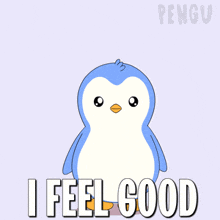 a penguin with its arms outstretched and the words i feel good below it