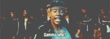 Bitches! GIF - Gamma Who One Word Bitches GIFs