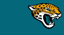 Jacksonville Jaguars Go Jags GIF