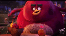 Terence Angry Birds GIF - Terence Angry Birds GIFs