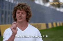nick cummins honey badger bee