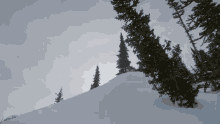 a person standing on top of a snow covered hill with trees in the background