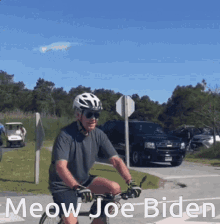 Meow Joe Biden GIF - Meow Joe Biden GIFs