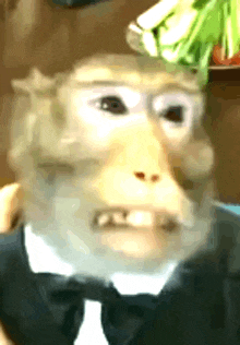 a monkey wearing a tuxedo and bow tie .