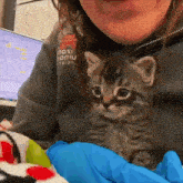 a woman is holding a kitten in her arms and the kitten is wearing a shirt that says " poison prevention "