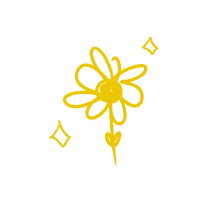 flowers flower
