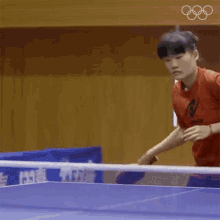 Table Tennis GIFs | Tenor