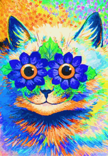 catnip kitty colorful trippy