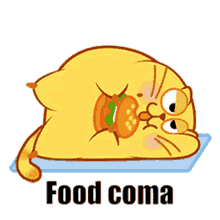 Fatcatzcouple Egg Yolk Cat GIF - Fatcatzcouple Egg Yolk Cat Yellow Cat GIFs