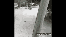 Little Girl Run Over A Cat With A Toy Cart Original Video GIF - Little Girl Run Over A Cat With A Toy Cart Original Video GIFs