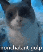 Nonchalant Gulp Nervous Gulp GIF - Nonchalant Gulp Nervous Gulp Cat GIFs