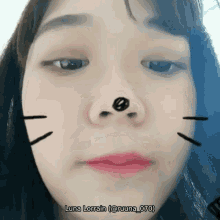 Kawaii Luna Lorrain GIF - Kawaii Luna Lorrain Cat Filter GIFs