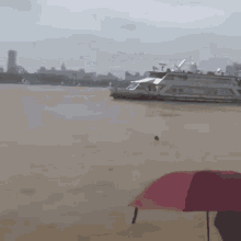 Lifebuoy Dog GIF - Lifebuoy Dog Ship GIFs