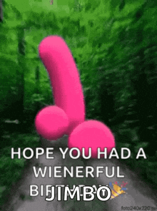 a pink penis with the words hope you had a wienerful bijimbo written on it