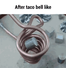 Aftertocobell Taco GIF - Aftertocobell Taco Bell GIFs