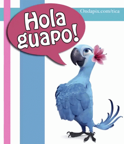 Bird Hola Guapo GIF - Bird Hola Guapo - Discover & Share GIFs